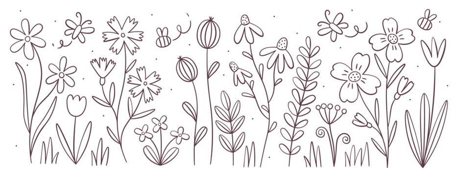 Flower blossoms, herbal bloom, meadow wildflower and grass doodle sketch minimal contour line set