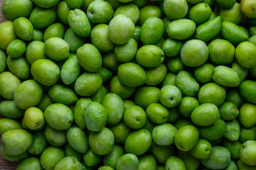 Close-up of olives in an outdoor garden. Home farming.