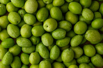 green olive background with lots of texture