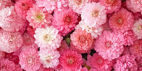 Fototapeta premium Fresh Pink Flower Shop: A shop window display filled with vibrant pink flowers