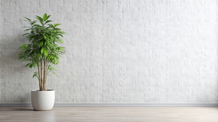 Fototapeta premium A white room with a large plant in a white pot