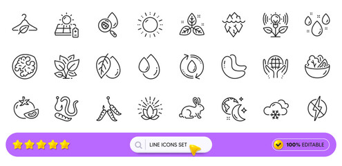 Animal tested, Salad and Cashew nut line icons for web app. Pack of Maggots, Water analysis, Organic tested pictogram icons. Refill water, Worms, Fair trade signs. Snow weather, Lotus. Vector