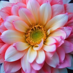 A Stunning Of A Blooming Flower With Intricate Petal Details And Vibrant High Professional