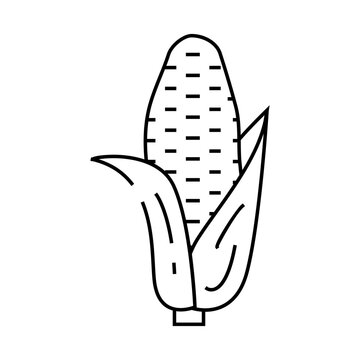 recommend clip art: purple corn line icon vector. purple corn sign. isolated contour symbol black illustration