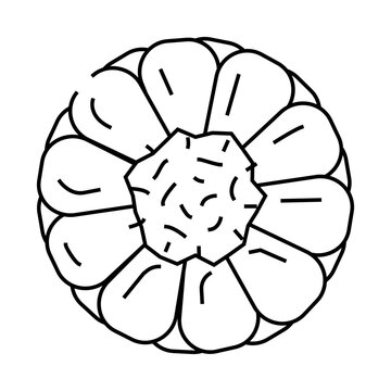 recommend clip art: cut corn line icon vector. cut corn sign. isolated contour symbol black illustration