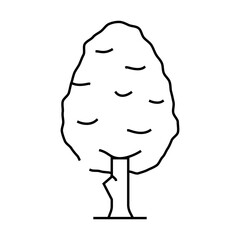 pear tree line icon vector. pear tree sign. isolated contour symbol black illustration