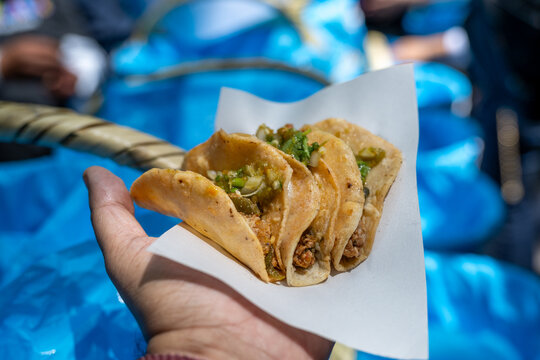 Tacos de canasta sostenidos en la mano 