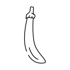 long purple eggplant line icon vector. long purple eggplant sign. isolated contour symbol black illustration