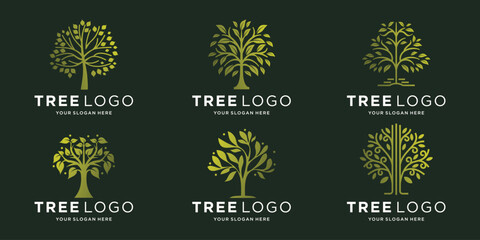 creative of tree logo set template with gold on dark background vector illustration.