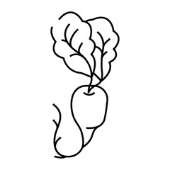 white radish line icon vector. white radish sign. isolated contour symbol black illustration