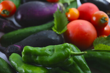 variety of summer vegetables grown in a kitchen garden, food background