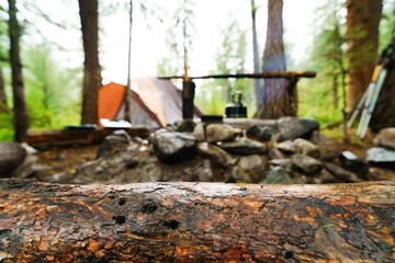 Empty tree trunk surface on the background of wild camping 