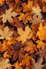 Fototapeta premium A bunch of fallen leaves lying on the ground, great for autumn or nature-themed backgrounds