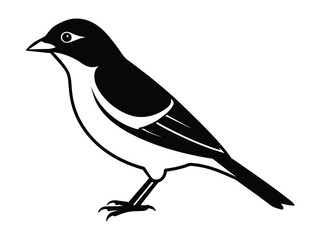 a bird silhouette vector style