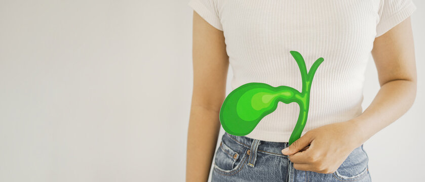 Hands holding bile duct paper cutout, bile duct obstruction, world Cholangiocarcinoma day concept