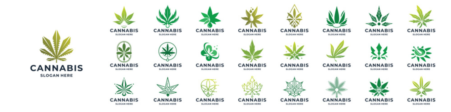 set of abstract cannabis logo. Abstract cannabis hemp leaf icon set inspiration, perfect logotype for company or brand.