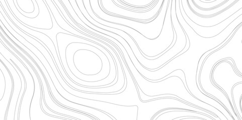 Abstract Topographic Contour Line Pattern in Gray and White, Modern design with White background with topographic wavy pattern design.