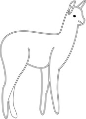Alpaca on a white background