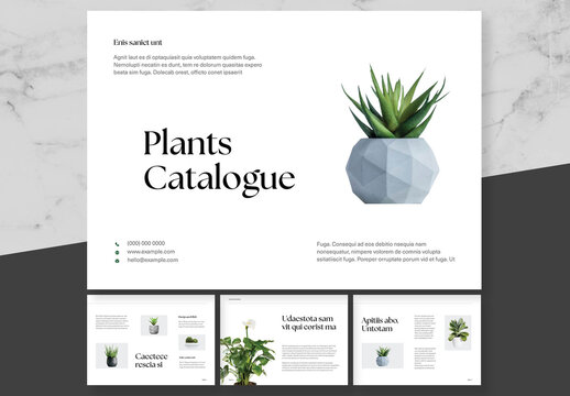 Green and White Floral Botanical Catalogue
