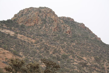 A beautiful view of mountains covered with argan trees