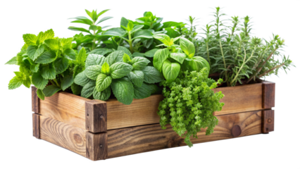 herbs in a wooden box