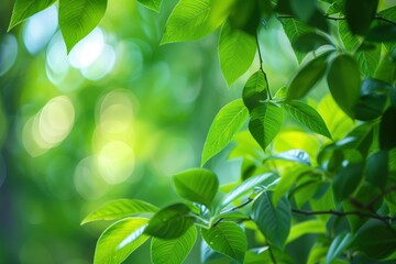 Obraz premium Close-up of lush green leaves with a soft, blurry background, creating a serene, nature-inspired scene