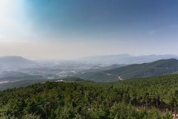 landscape with fog