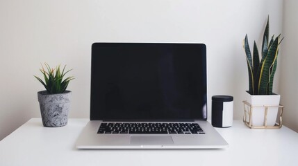 Fototapeta premium A laptop is open on a desk with a potted plant and a cup