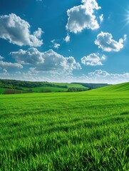 Naklejka premium A large, open field with a clear blue sky and fluffy white clouds