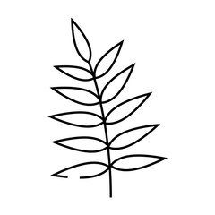 chamaedorea tropical leaf line icon vector. chamaedorea tropical leaf sign. isolated contour symbol black illustration