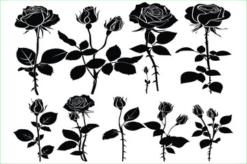 rose flower set silhouette vector illustration. Rose flowers Collection. Flowers icons. Set of rose flowers icon line art vector illustration - Generative AI.
