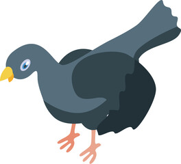 Gray city dove walking and searching food on the ground isometric view