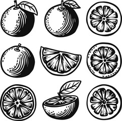 Orange fruit hand drawn collection Icon set, sliced fruit food and elements Black and white.