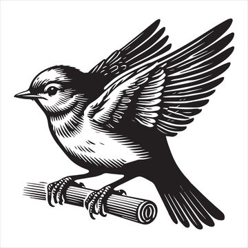 recommend clip art: Eastern Bluebird Clipart -  Sialia sialis silhouette - Eastern Bluebird resting wings folded illustration 