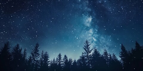 Fototapeta premium night sky background