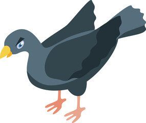 Gray city pigeon standing in isometric view, isolated on white background