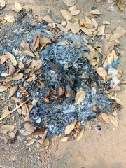 organic fertilizer, burnt leaves