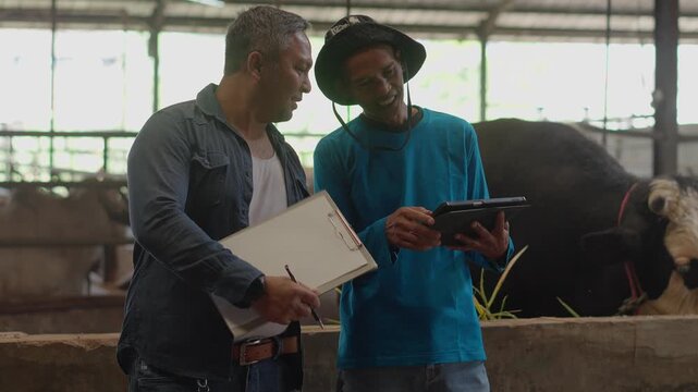 Two Asian Farmers Working In A Cowshed With A Digital Tablet And Clipboard