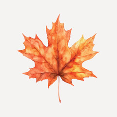 Naklejka premium Vibrant autumn maple leaf illustration