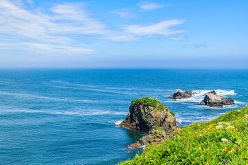 青空の霧多布岬を歩く
