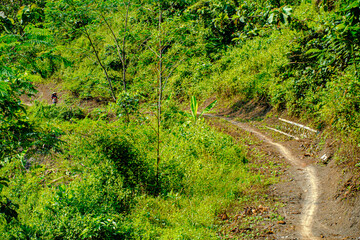 a country road that makes beauty at every step 