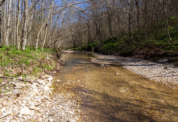 nature park ,spring awakening in nature and river canyon walk