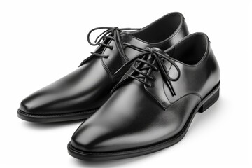 pair black dress shoes