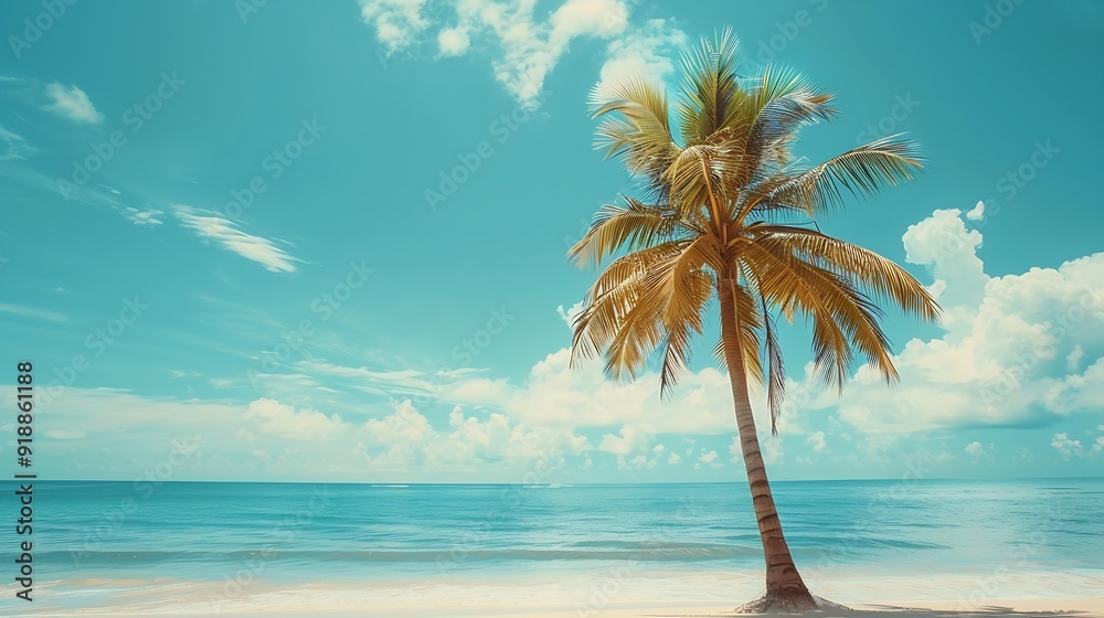 Poster palm tree on tropical beach with blue sky and white clouds abstract background copy space of summer 