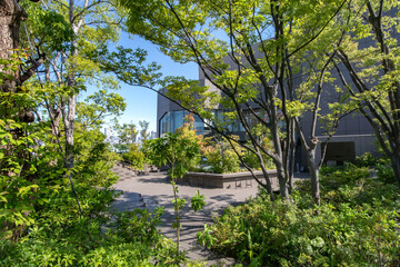東京都渋谷区神宮前、表参道、おもはらの森