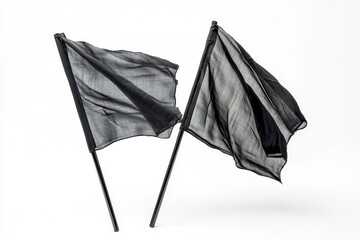 Pair of black flags against white background
