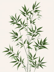 Fototapeta premium green leaves isolated on white