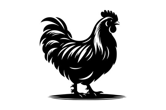 chicken silhouette vector illustration isolated on transparent background - Generative AI