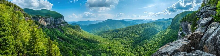 Naklejka premium Panoramic View of Lush Mountain Range