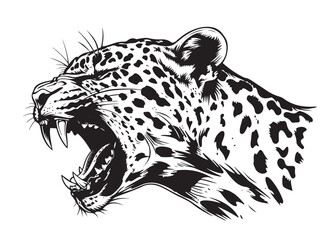 Leopard head growling . Black and white graphic. Vector illustration on white isolated background. Good for packaging, tattoo, and t-shirt designs. © BigJoy